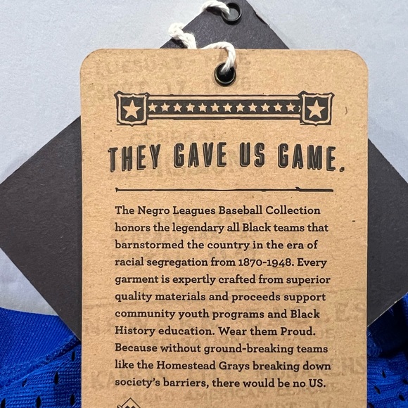 Rings & Crowns, Negro League Baseball Jersey, Brooklyn Giants - Picture 11 of 12